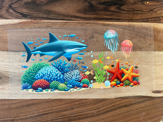 Ocean Animals