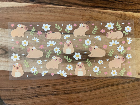 Miscellaneous Animals